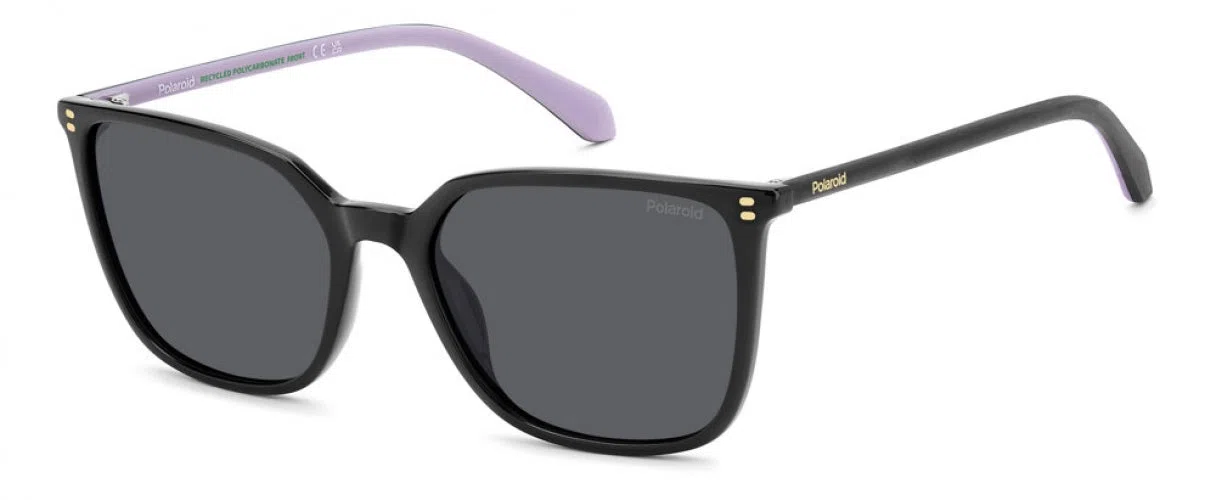Polaroid Core PLD4209 Sunglasses - view 5